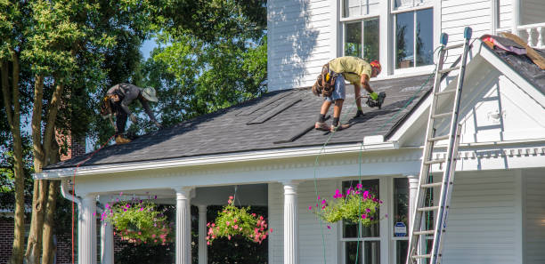 Best New Roof Installation  in Homer Glen, IL